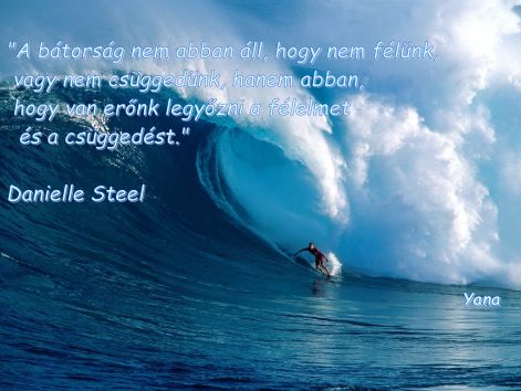 surf2.jpg